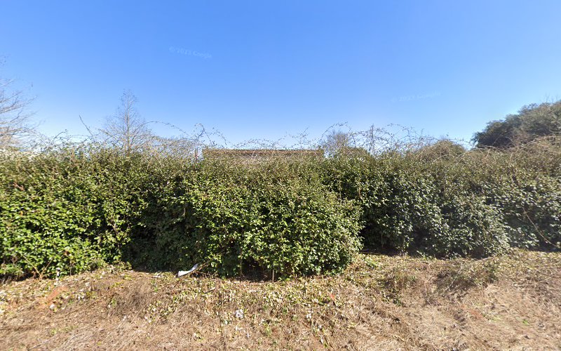 oficinas de trabajo en Albany